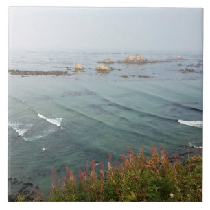 Simpson Reef Overlook, Oregon Coast Fliese