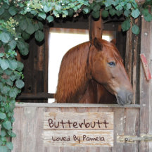 Simulierter klassischer Saal für das Rustikale Hol