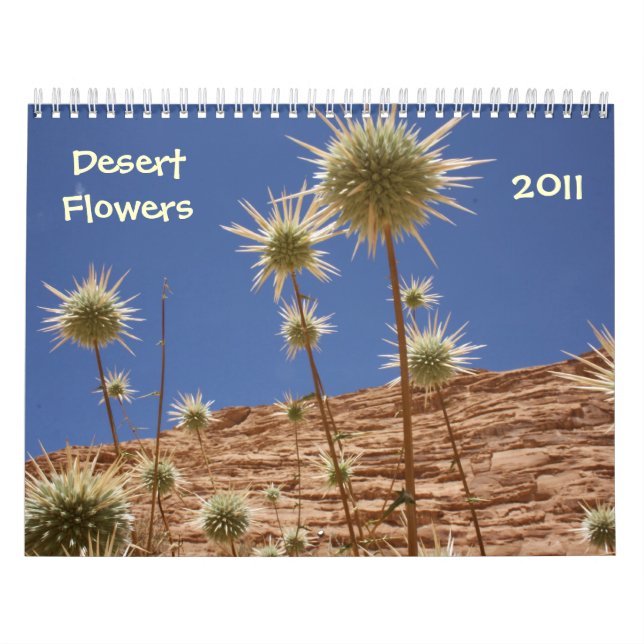 Sinai-Wüsten-Blumen Kalender (Titelbild)