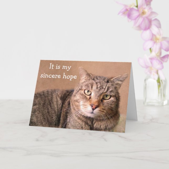 Sincere Cat Get Well Karte (Orchidee)