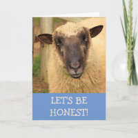 Sincere Honest Sheep wird gut