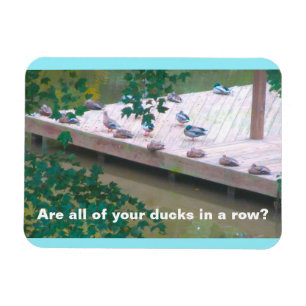 "Sind alle Eure Enten in einer Reihe?" 3x4 Foto Ma Magnet