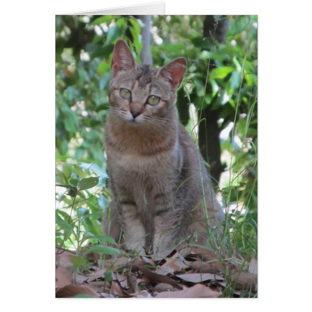 Sind Sie talkin zu mir? - TBD Reihe (Vorne)