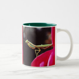 Sind wir eingeführt worden? zweifarbige tasse