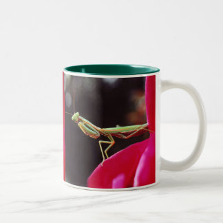 Sind wir eingeführt worden? zweifarbige tasse