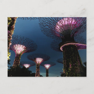 Singapore Gardens by the Bay #1 Carte postale