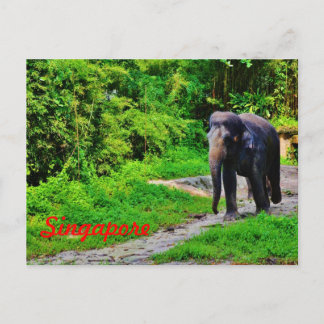 Singapore Postcard Postkarte