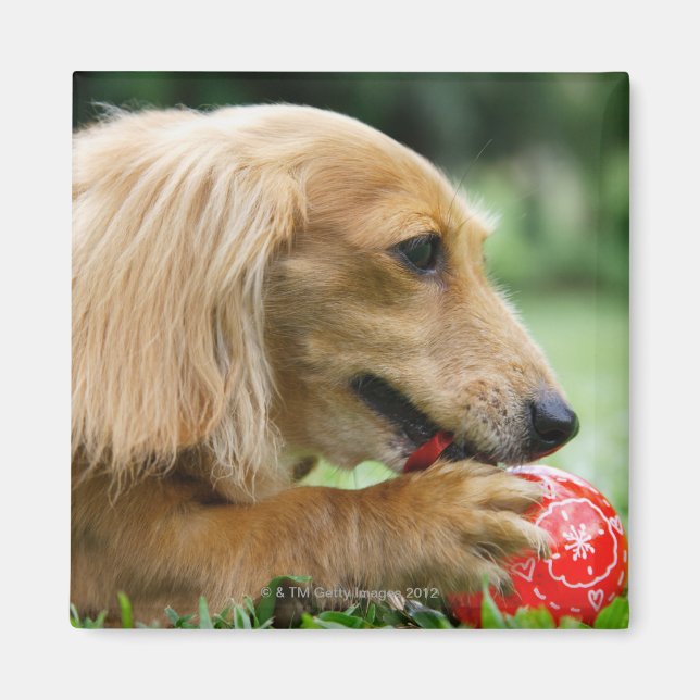 Singapur 10 magnet (Vorne)