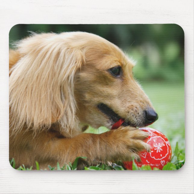 Singapur 10 mousepad (Vorne)