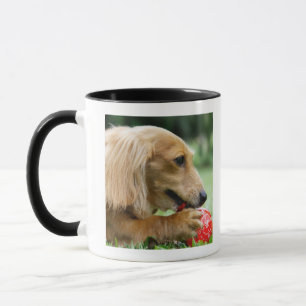 Singapur 10 tasse