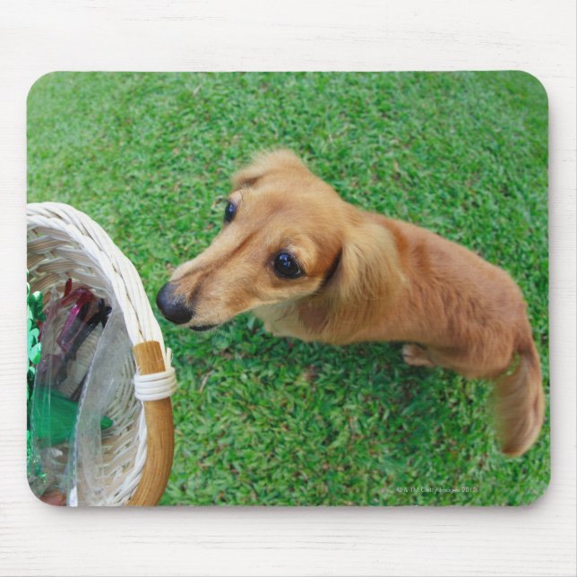 Singapur 2 mousepad (Vorne)