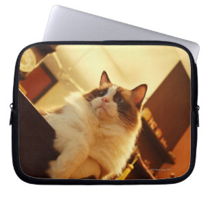 Singapur 6 laptopschutzhülle