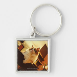 Singapur 6 schlüsselanhänger