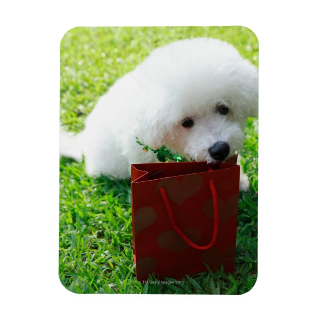 Singapur 7 magnet (Vertikal)