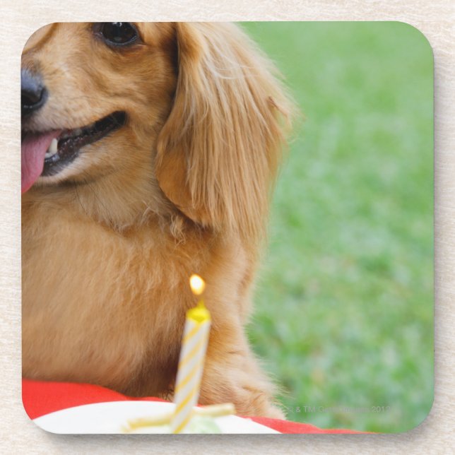 Singapur 8 getränkeuntersetzer (Vorderseite)