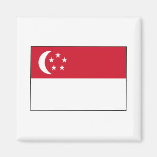 Singapur-FLAGGE International Magnet