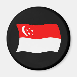 Singapur-Flagge-Magnet Magnet