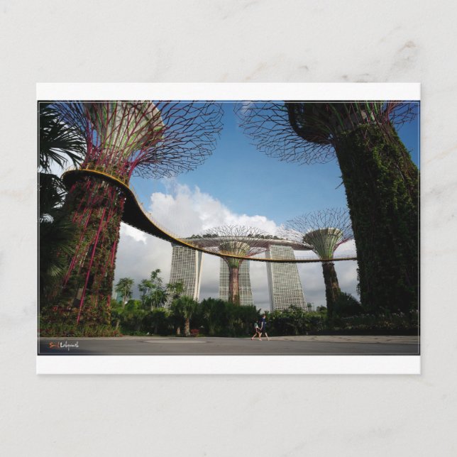 Singapur - Garden By The Bay und Marina Bay Sands Postkarte (Vorderseite)