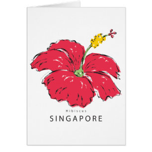 SINGAPUR HIBISKUS COLLECTION