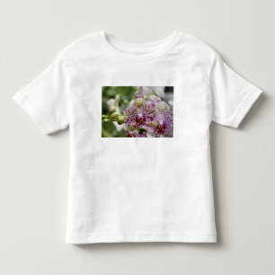 Singapur (Sanskrit for Lion City). Nationalstaat Kleinkind T-shirt