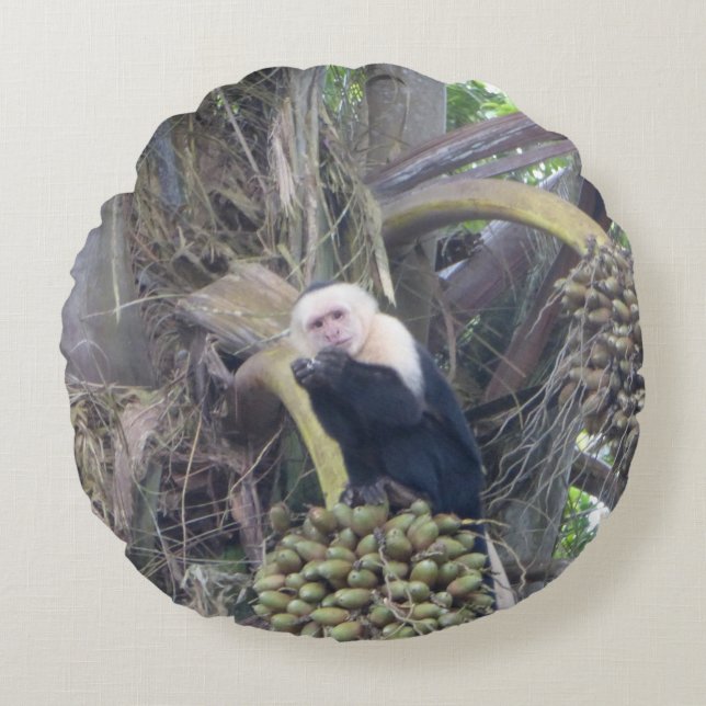 Singe Capucin mignon dans le Coussin Arbre Rond (Devant)