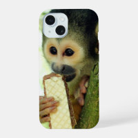 Singe écureuil mangeant un biscuit wafer