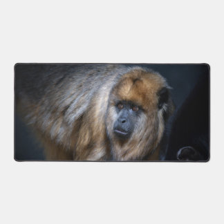 Singe hurleur