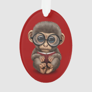 Singe mignon de bébé lisant un livre sur le roug