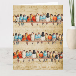 Singen und Zwitschern     Karte