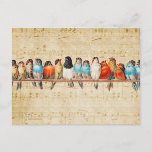 Singen und Zwitschern Postkarte