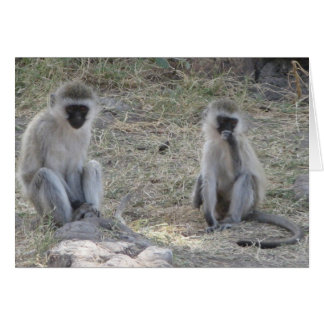 Singes bleus