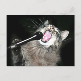 Singkatze Postkarte