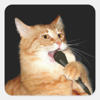 Singkatze Quadratischer Aufkleber