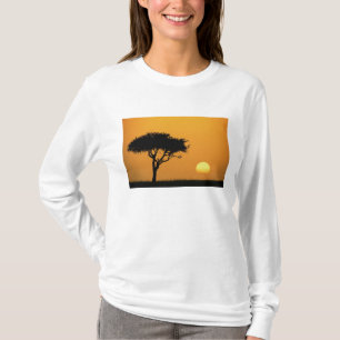 Single Acacia Baum silhouettiert bei Sonnenaufgang T-Shirt