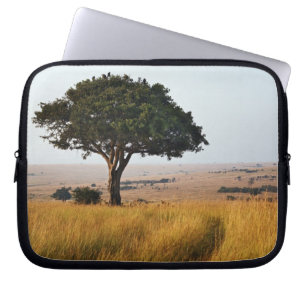 Single acacia tree auf Grasflächen, Masai Mara, Laptopschutzhülle