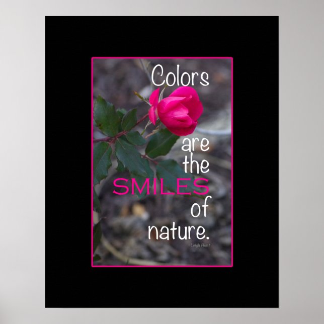 Single Bending Pink Rose Foto Poster (Vorne)