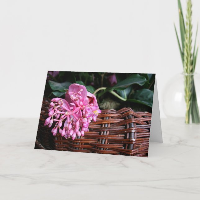 Single Blossom Karte (Vorderseite)