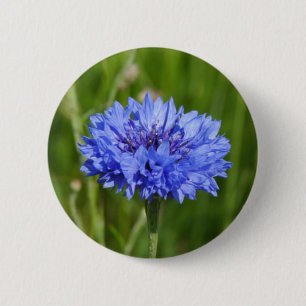 Single Blue Cornflower in green English Meadow Button