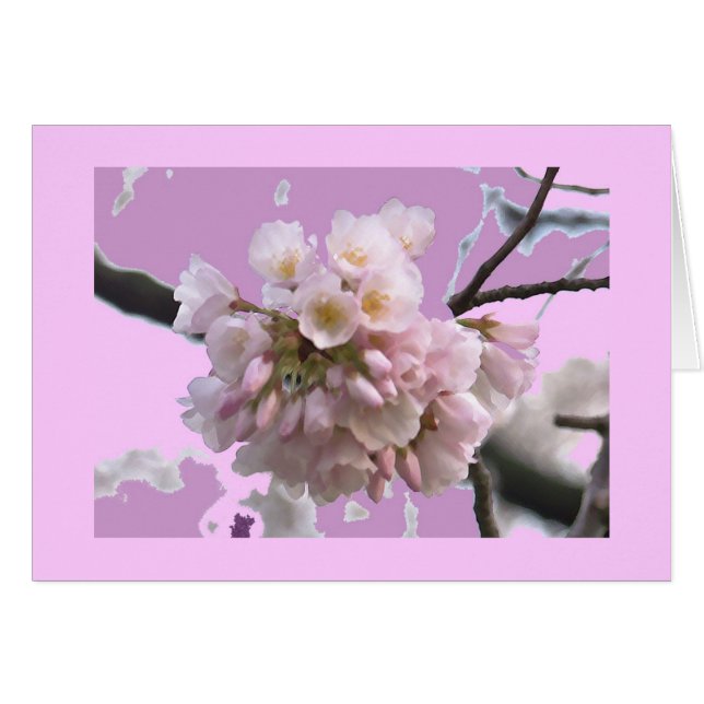 Single Cherry Blossom (Vorderseite (Horizontal))