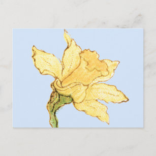 Single Daffodil Illustration von Kate Greenaway Postkarte