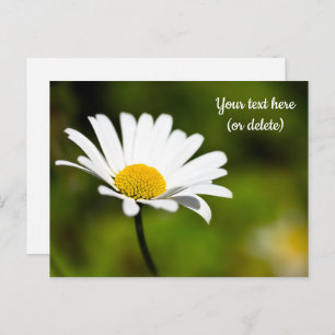 Single Daisy Postcard Postkarte