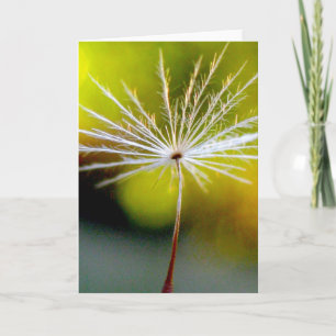 Single Dandelion Seed Poetry of Nature Karte