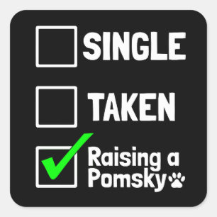 Single, der ein Pomsky Puppy Dog Geschenk gemacht Quadratischer Aufkleber