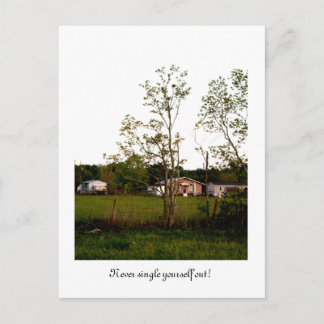 Single dich nie aus! postkarte