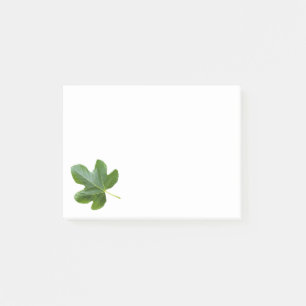 Single Feigenbaum Grüne Blattnähe abgeschieden Post-it Klebezettel