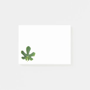 Single Feigenbaum Grüne Blattnähe abgeschieden Post-it Klebezettel