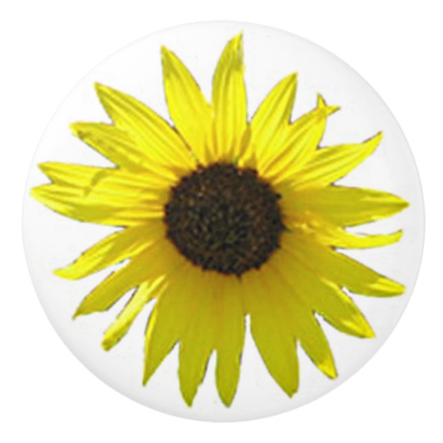 Single-große Sonnenblume-Blüte Keramikknauf (Vorderseite)
