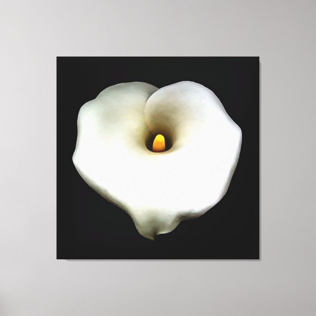 Single Heart Shaped Calla Lily Abgeschieden Leinwanddruck (Vorderseite)