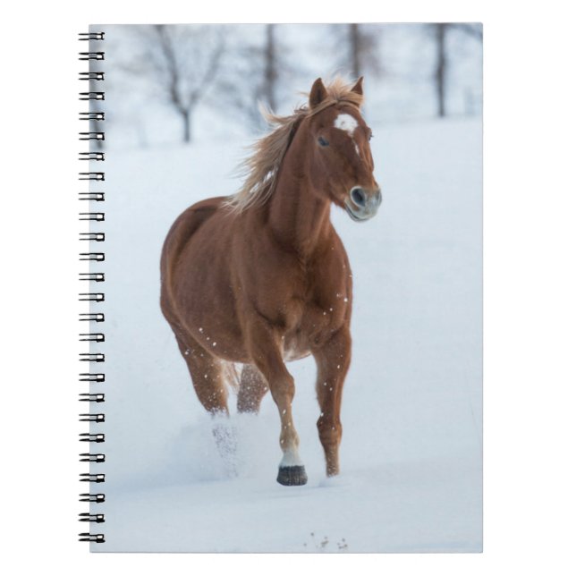 Single Horse Running in Snow Notizblock (Vorderseite)