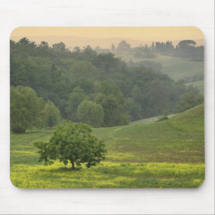 Single in landwirtschaftlichen Nutzflächen, Toska Mousepad